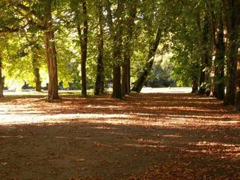 Bed & Breakfast Ch�teau De La Court D'aron