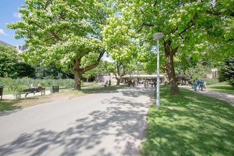Design Apartment With Balcony
