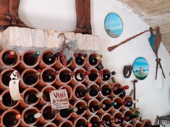 Pier Delle Vigne B&B