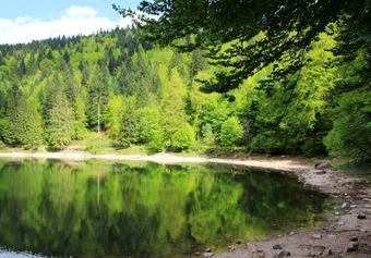 Apartment With One Bedroom In Cornimont, With Wonderful Mountain View And Furnished Terrace - 3 Km From The Slopes