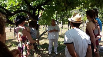 Agroturismo Azienda Agricola Le Tore Srl