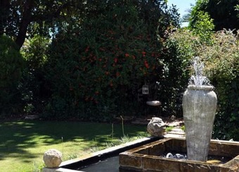 Hotel Woodpecker Guesthouse