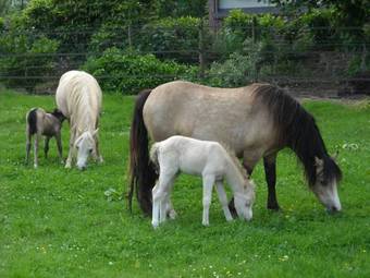 Bed & Breakfast Le Domaine Des Platanes