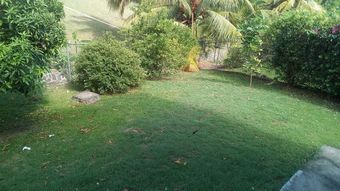 Apartamentos Jane's Beach Trek