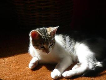 Bed & Breakfast La Colombiere Du Ch�teau