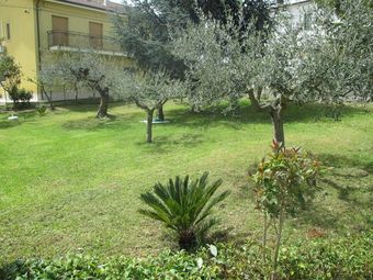 Bed & Breakfast A Casa Di Gi�