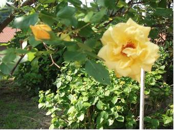 Bed & Breakfast Chambres D'h�tes L'etape Ard�choise