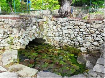 Le Mas De La Grenouill�re