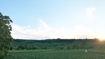 Apartamentos Oppenheim Ferienwohnung Martin