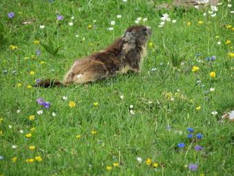 Apartamento Residence Le Beauregard