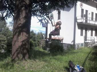 Hotel Holly Guest House