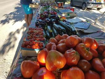 House With 2 Bedrooms In Aubignan, With Pool Access, Enclosed Garden And Wifi - 120 Km From The Beach