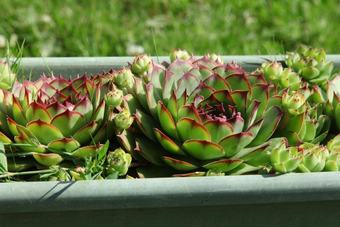 Bed & Breakfast Chambre D'hote La Bouli�re