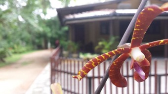 Hotel Nature's Hideout Holiday Home