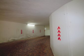 Ver fotos