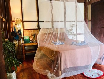 Hotel Bamboo Garden