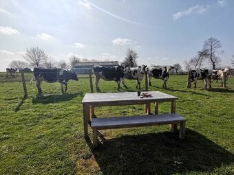 Bed & Breakfast La Bastide Du Bonheur