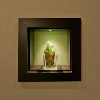 Hotel - Restaurant Sonneneck