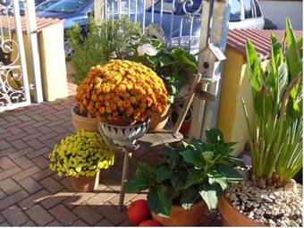 Hotel Im Ziegelweg Garni