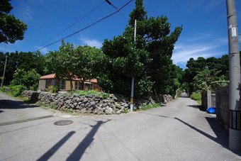 Apartamentos Alezedvilla Shiraho