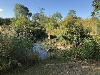 Paull Holme Farm Bed And Breakfast