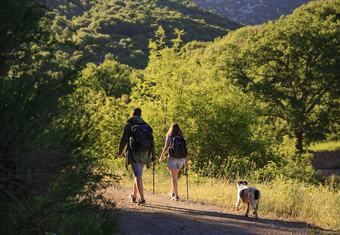 Hotel Abeliona Retreat