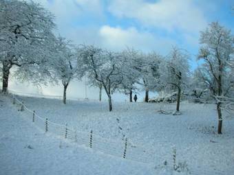 Lodge Holiday Home Petit Gite Laval Ferrieres