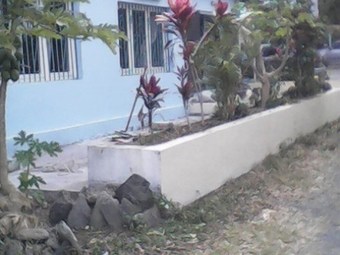 Hotel H�tel de La Plage - Poindimi�