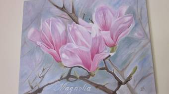 Paddocks Holiday Cottages Magnolia