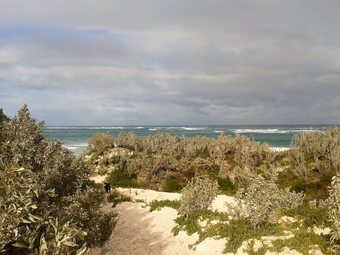 Beach Trails Retreat - Close To Beach & Pet Friendly