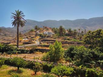 Apartment With 2 Bedrooms In Alojera, With Wifi