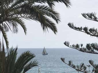 Apartamento Playa Albufereta Rocafel 5