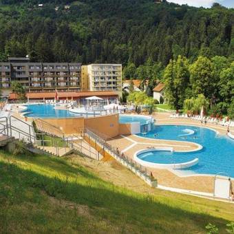 Terme Topolsica - Hotel Vesna