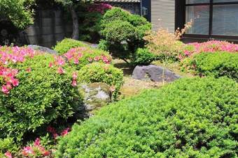 Hotel Auberge Fujii Fermier