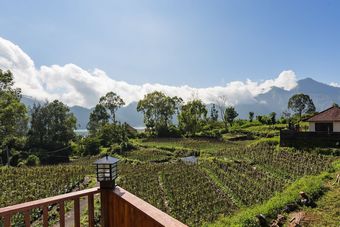 Bed & Breakfast Mount Batur Villa