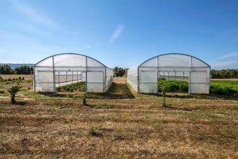 House With 3 Bedrooms In Peraboa, With Wonderful Mountain View, Pool Access, Furnished Garden