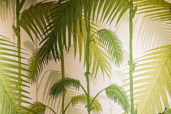 Koncept Hotel International