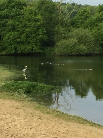 Bed & Breakfast Chez Nous