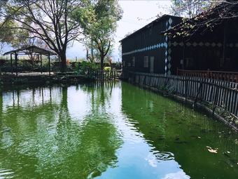 Bed & Breakfast Dumas Homestay