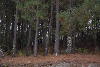 House With 3 Bedrooms In Amarante, With Wonderful Mountain View, Furnished Terrace And Wifi