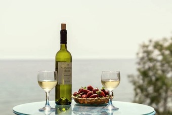 Hotel Mesodokia Homes