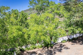 Agroturismo Quinta Do Valdal�gea