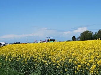 Bungalow With Garden Terrace And Fenced Garden