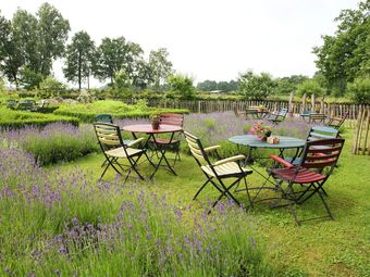 Group House Surrounded By Nature In Beautiful Reusel In North Brabant