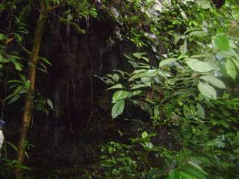 Hosteria Eco Lodge Latorre