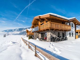 Modern Holiday Home In Niedernsill With Private Sauna