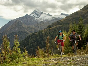Traditional Holiday Home With Sauna In Niedernsill