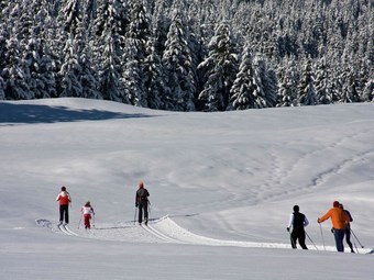 Cosy Apartment In Weissensee Near Ski Lift