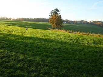 Charming House In The Countryside, Walks, Bike Rides And Relax Are On The Menu!