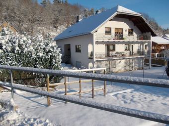 Sunlit Mansion With Private Terrace In Lirstal